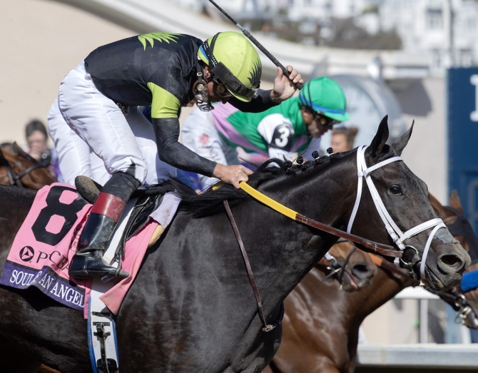 Soul of an Angel - Breeders Cup Filly and Mare Sprint - Barbara D. Livingston