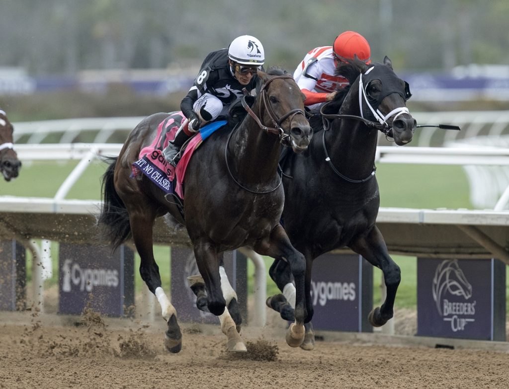 Straight No Chaser - Breeders Cup Sprint - Barbara D. Livingston