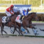 The Brother Slew - Clasico del Caribe 2019 - Coglianese Photo