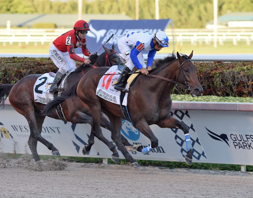 The Brother Slew - Clasico del Caribe 2019 - Coglianese Photo