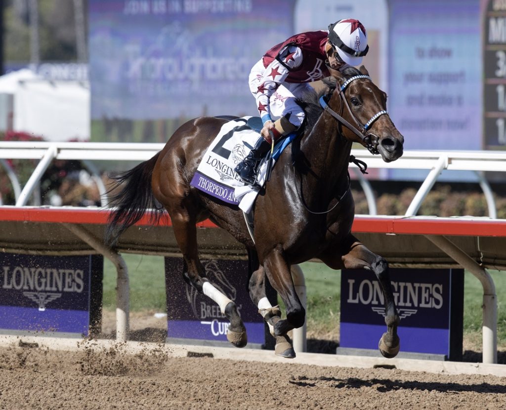 Thorpedo Anna - Breeders' Cup Distaff G1 - DRF Barbara Livingston