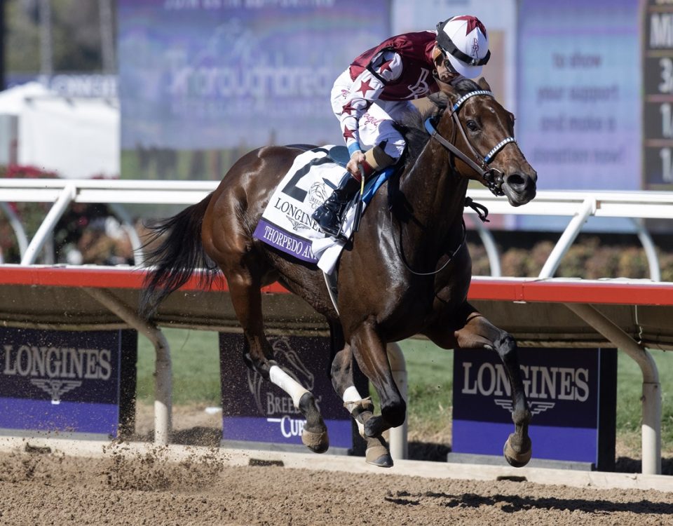 Thorpedo Anna - Breeders' Cup Distaff G1 - DRF Barbara Livingston