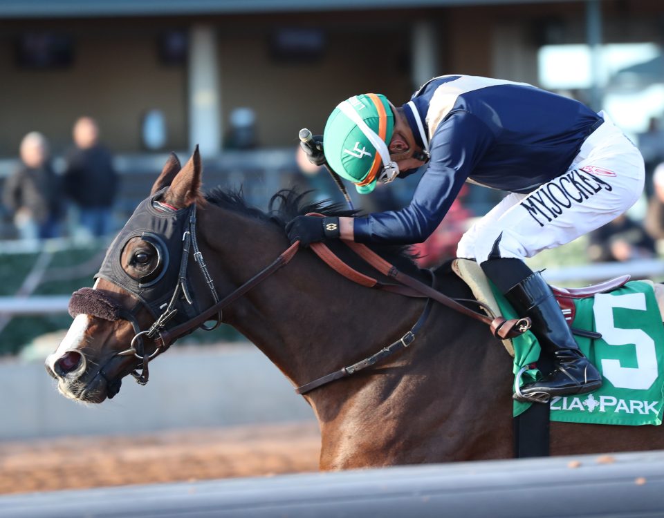 Valence - Zia Park Oaks - Coady Media