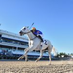 White Abarrio - Ryan Thompson/Coglianese Photo