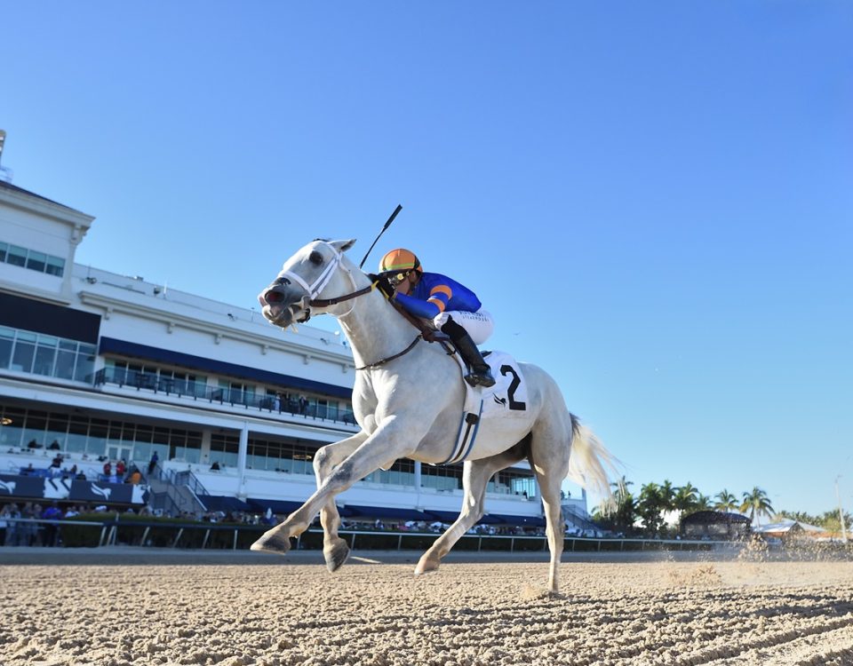 White Abarrio - Ryan Thompson/Coglianese Photo