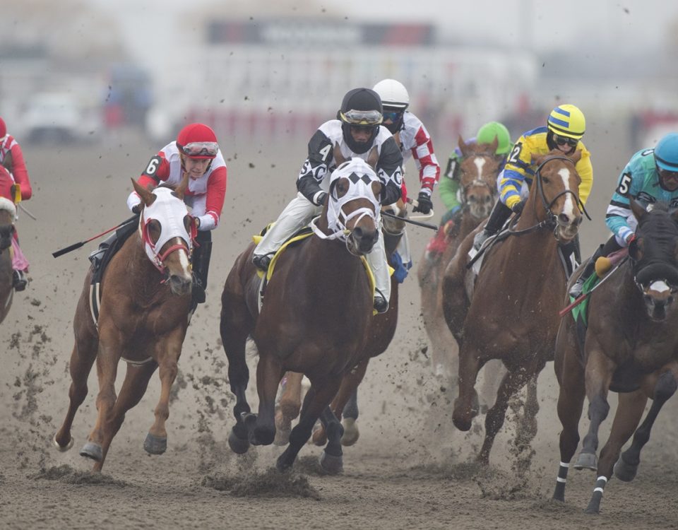 Woodbine Scenic - Michael Burns