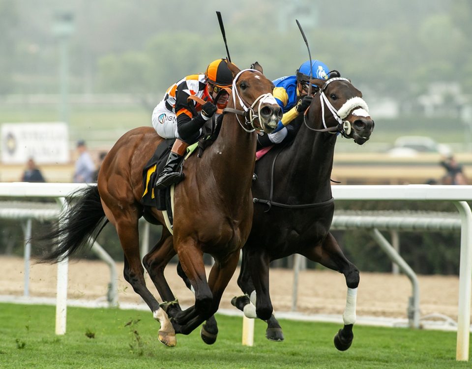 Artislas - Eddie Logan Stakes - Benoit Photo