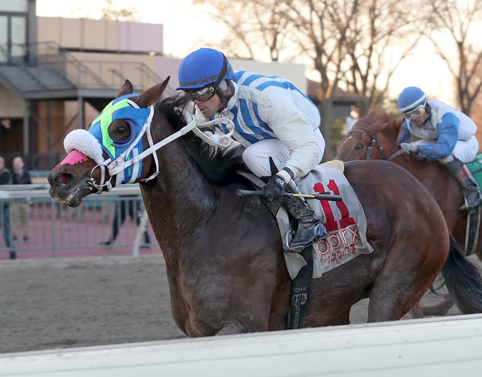 Bourbon Bon Bay - Cornucopia Handicap - Nikki Sherman/EQUI-PHOTO