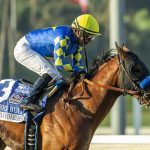 Citizen Bull - American Pharoah Stakes G1 - Benoit Photo