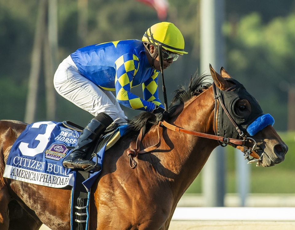 Citizen Bull - American Pharoah Stakes G1 - Benoit Photo