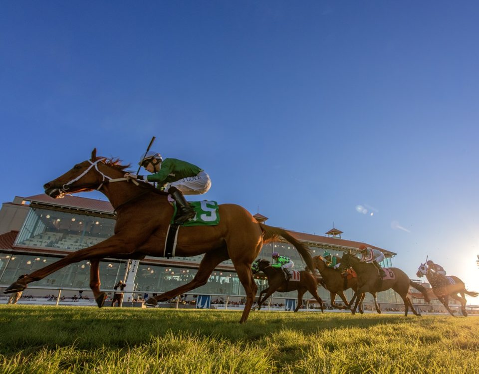 Fair Grounds action - Hodges Photograpy Amanda Hodges Weir