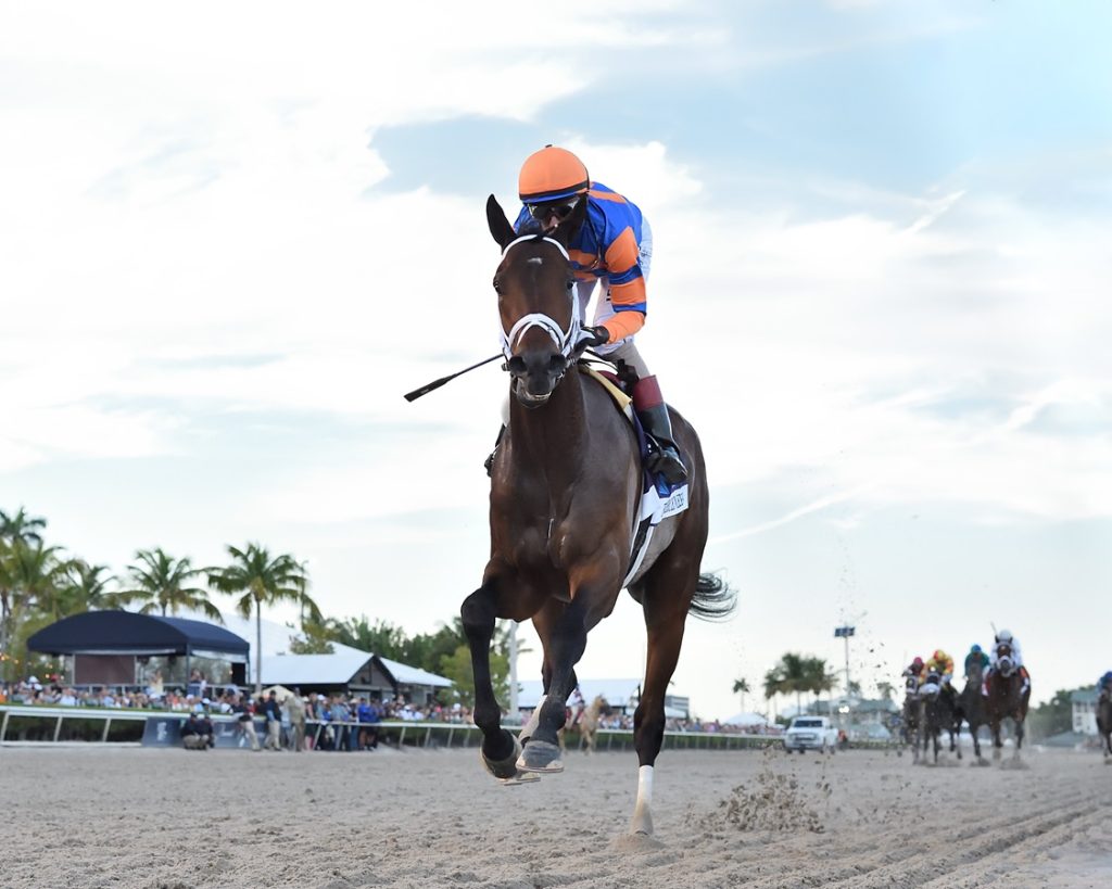 Fierceness - Florida Derby G1 - Coglianese Photo