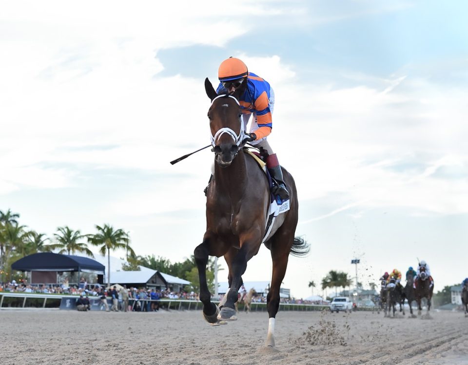 Fierceness - Florida Derby G1 - Coglianese Photo