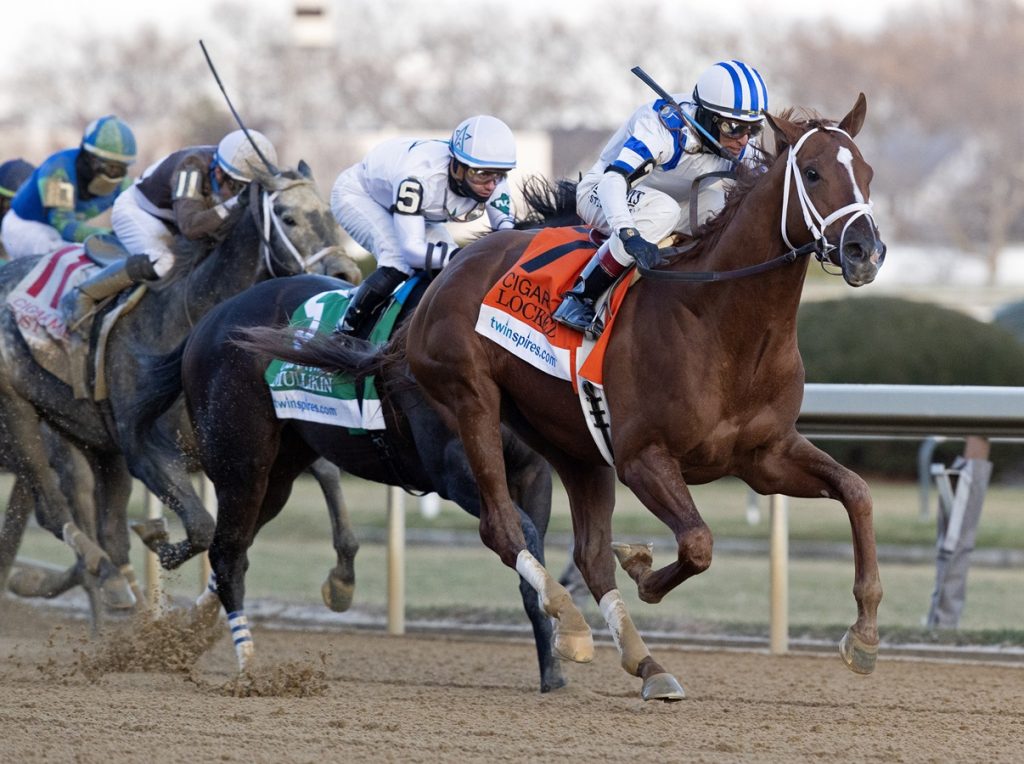 Locked - Cigar Mile G2 - DRF Barbara Livingston