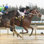 Maximus Meridius - Gravesend Stakes - Coglianese Photo