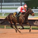 Mufasa - Mr. Prospector Stakes G3 - Coglianese Photo