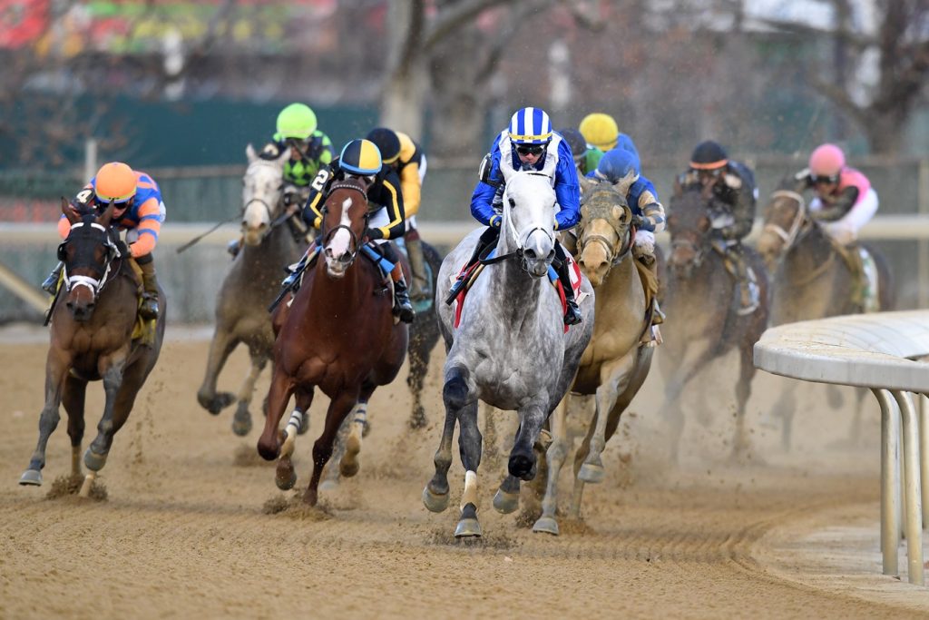 Muhimma - Demoiselle G2 - Coglianese Photo