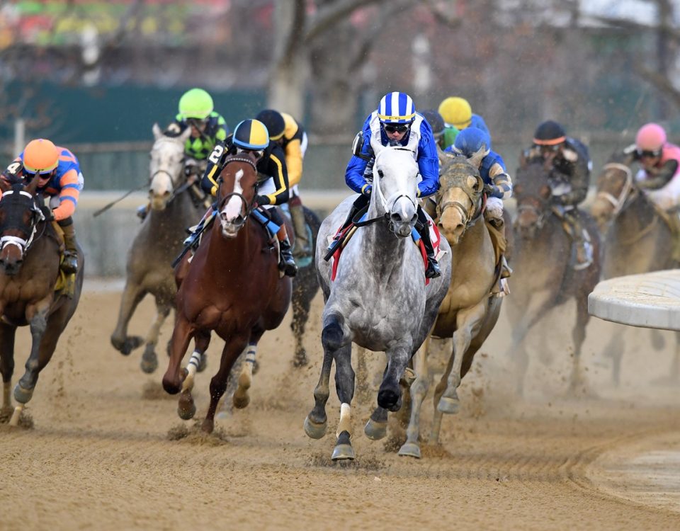Muhimma - Demoiselle G2 - Coglianese Photo