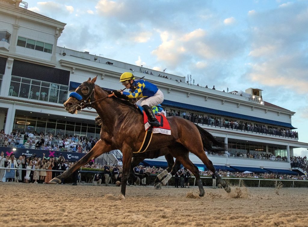 National Treasure - Pegasus World Cup G1 - DRF Barbara Livingston