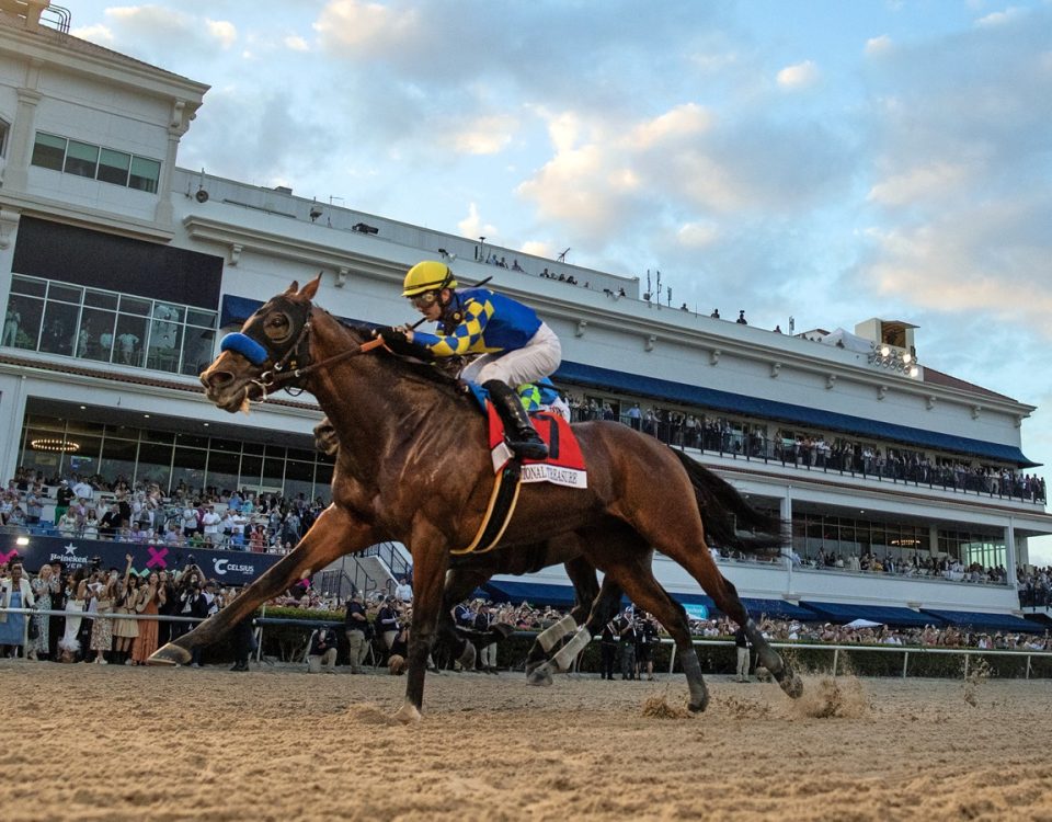 National Treasure - Pegasus World Cup G1 - DRF Barbara Livingston