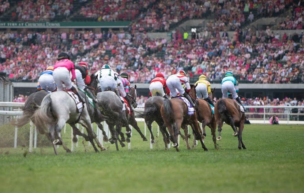 Oaks Day scenic - Julie Wright