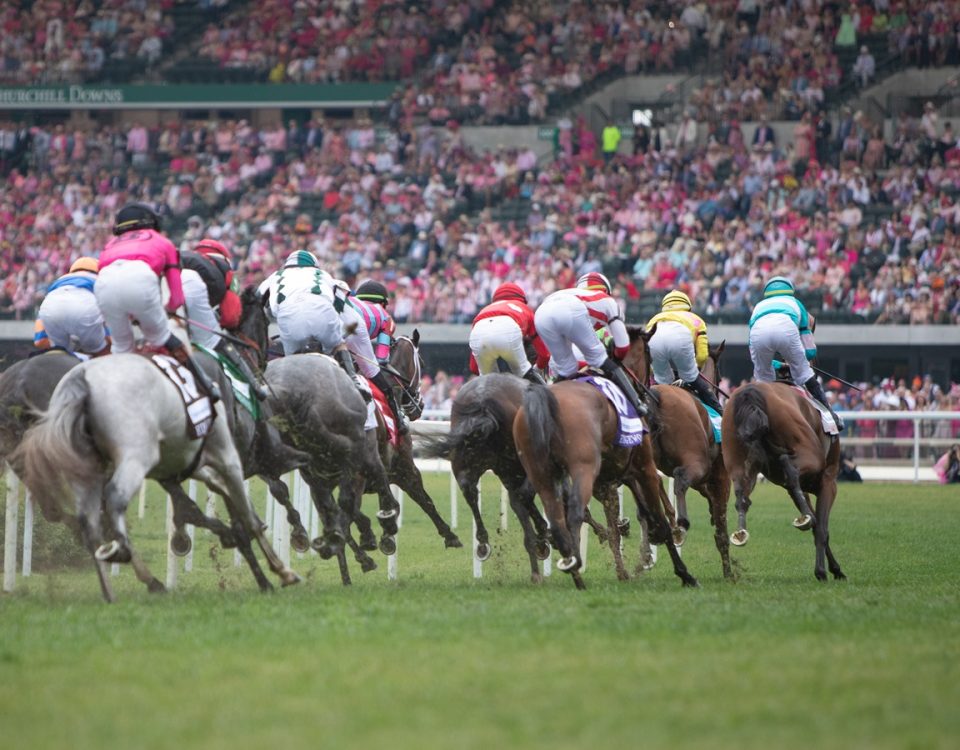 Oaks Day scenic - Julie Wright