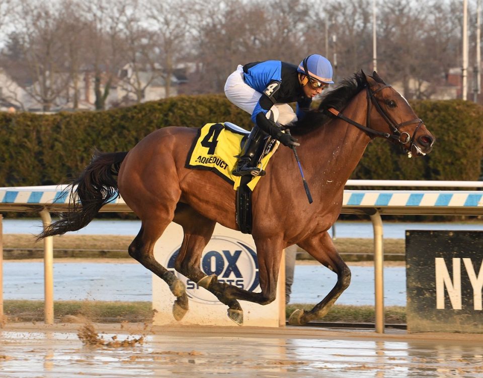 Phileas Fogg - Queens County Stakes - Coglianese Photo