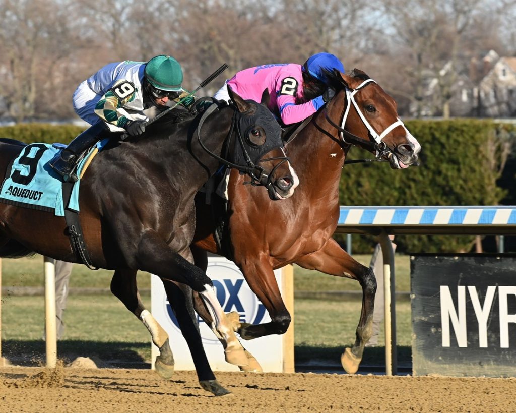 Sacrosant - NYSS Great White Way Div - Coglianese Photo