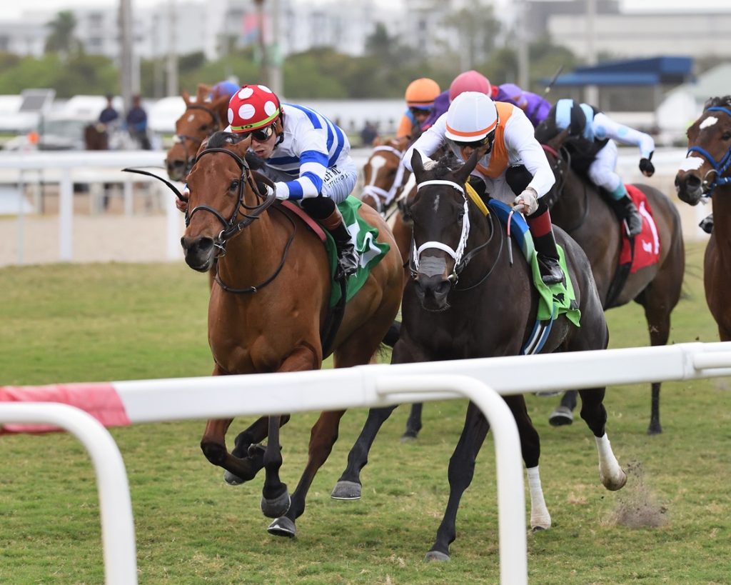 See You Around - Tropical Park Oaks - Ryan Thompson/Coglianese Photo