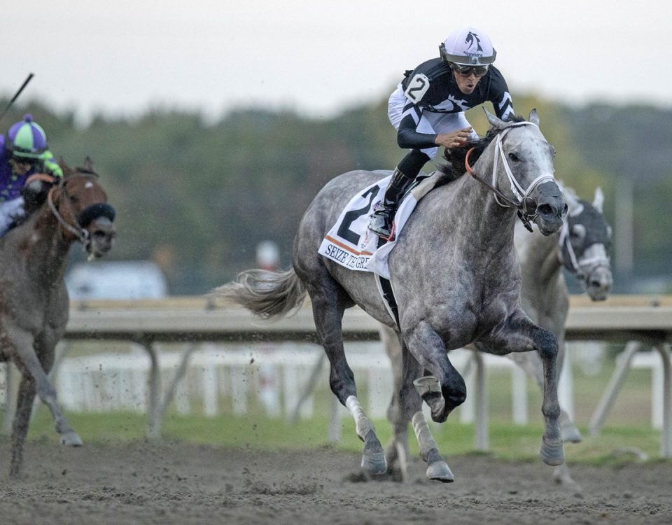 Seize the Grey - Pennsylvania Derby G1 - DRF Barbara Livingston