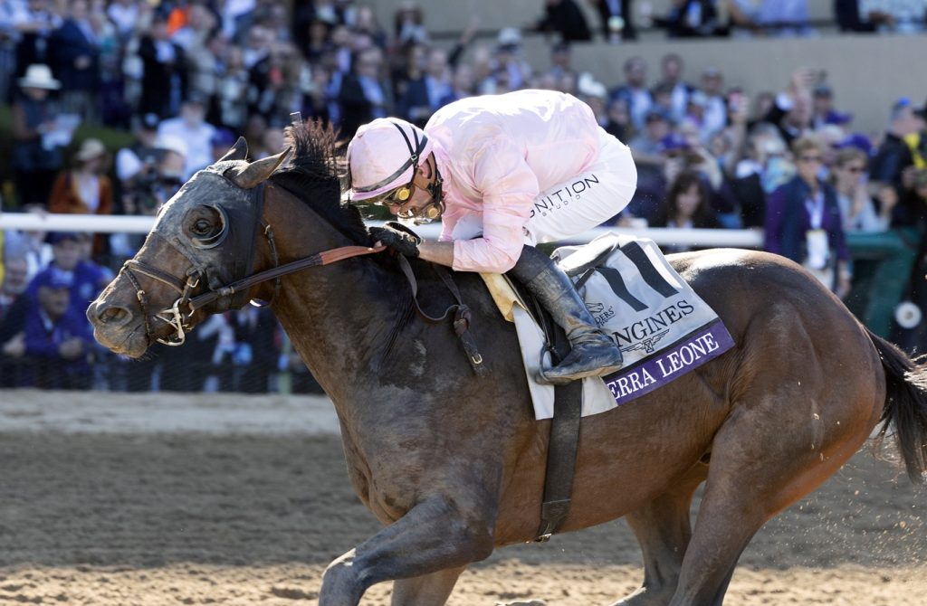 Sierra Leone - Breeders' Cup Classic - Debra A. Roma