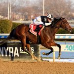 Stonewall Star - Bay Ridge Stakes - Coglianese Photo