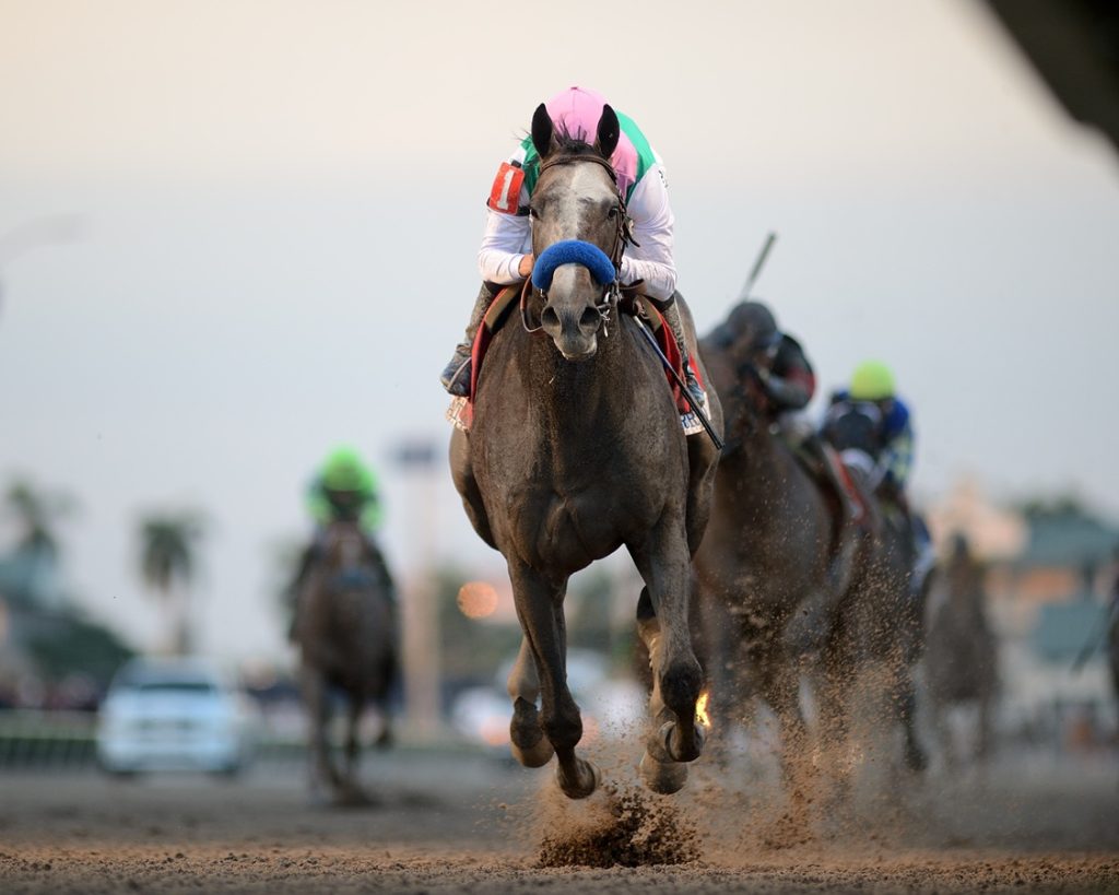 Arrogate - Pegasus World Cup 2017 - Coglianese Photo