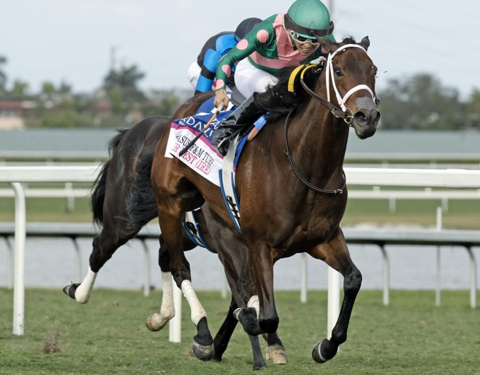 Be Your Best - Pegasus World Cup Filly and Mare Invitational Turf G2 - DRF Barbara Livingston