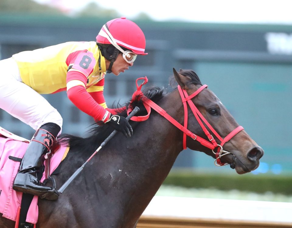 Coal Battle - Smarty Jones Stakes - Coady Media