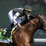 Coppola - Gulfstream Park Turf Sprint Stakes - DRF Barbara Livingston