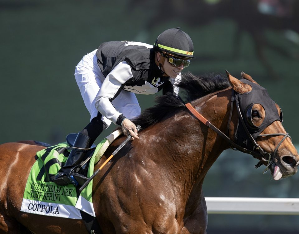 Coppola - Gulfstream Park Turf Sprint Stakes - DRF Barbara Livingston