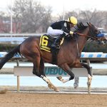 Cyclone State - Jerome Stakes - Coglianese Photo