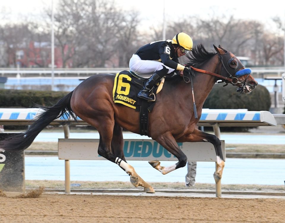 Cyclone State - Jerome Stakes - Coglianese Photo