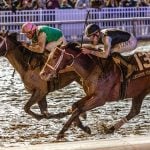 Disco Time - Lecomte Stakes - Hodges Photography / Amanda Hodges Weir