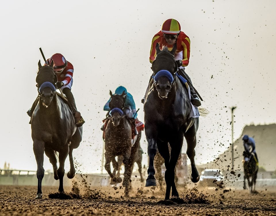 Gaming - Grade I, $300,000 Del Mar Futurity - © BENOIT PHOTO