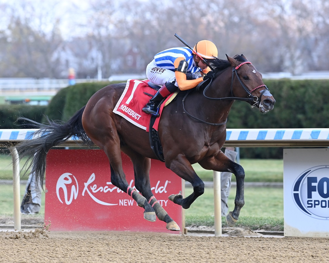 El Camino al Kentucky Derby abre el 2025 con el Jerome Stakes DRF en