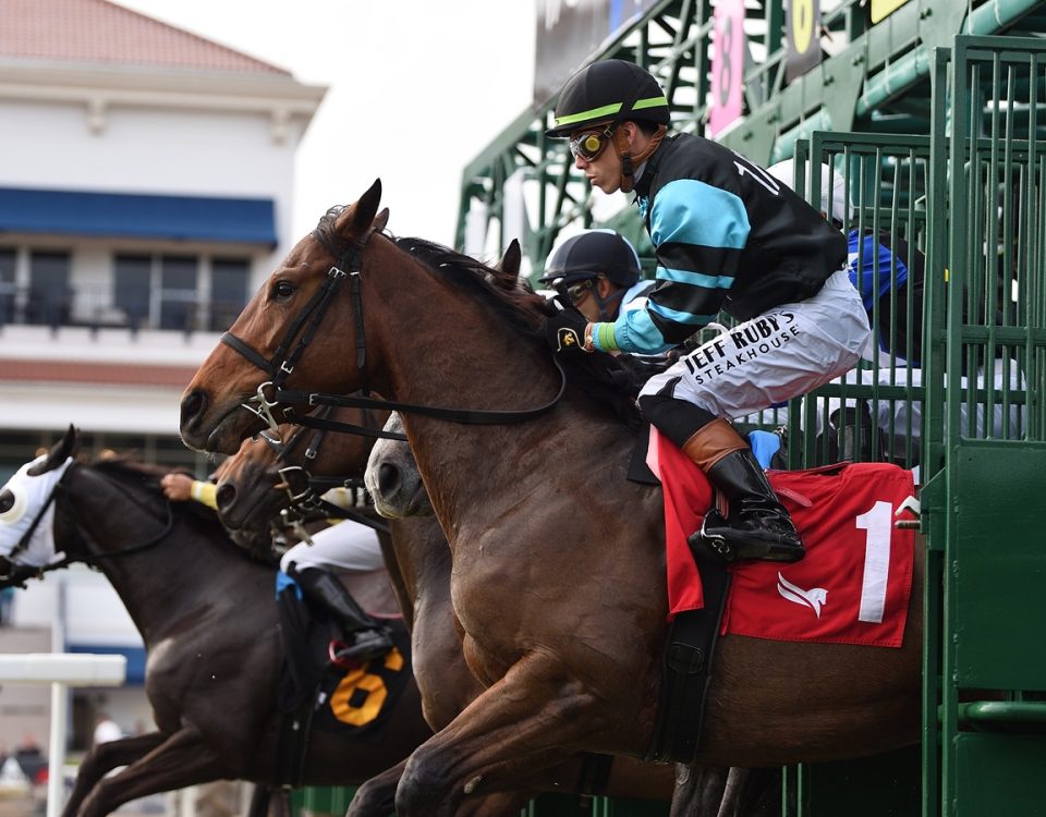 Gulfstream gate scenic - Ryan Thompson/Coglianese Photo