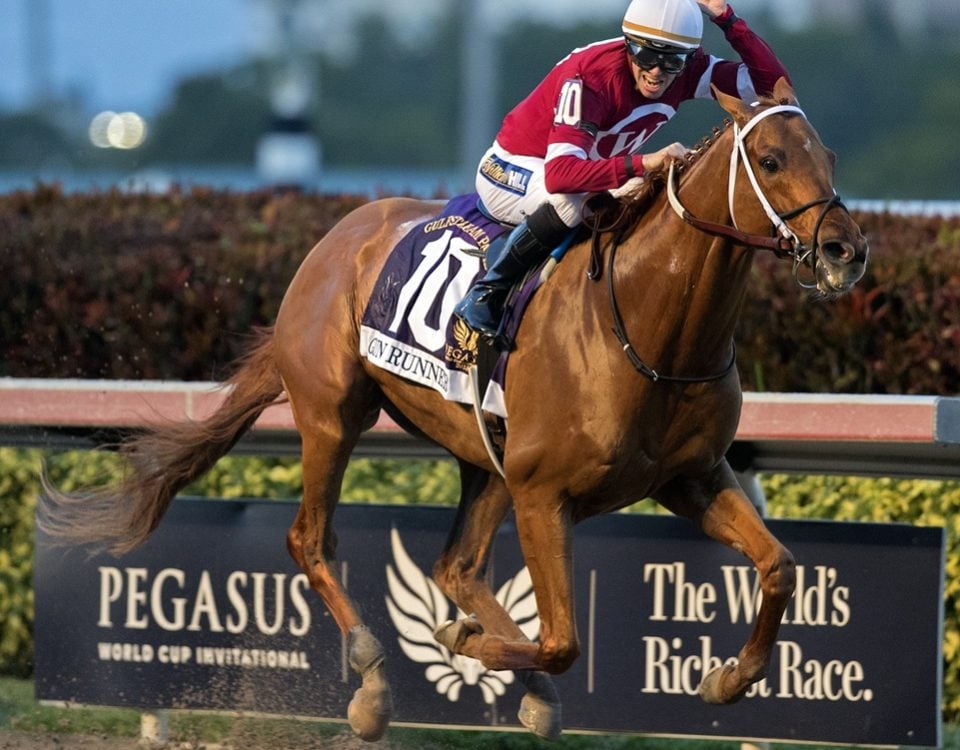 Gun Runner - Pegasus World Cup - DRF Barbara Livingston