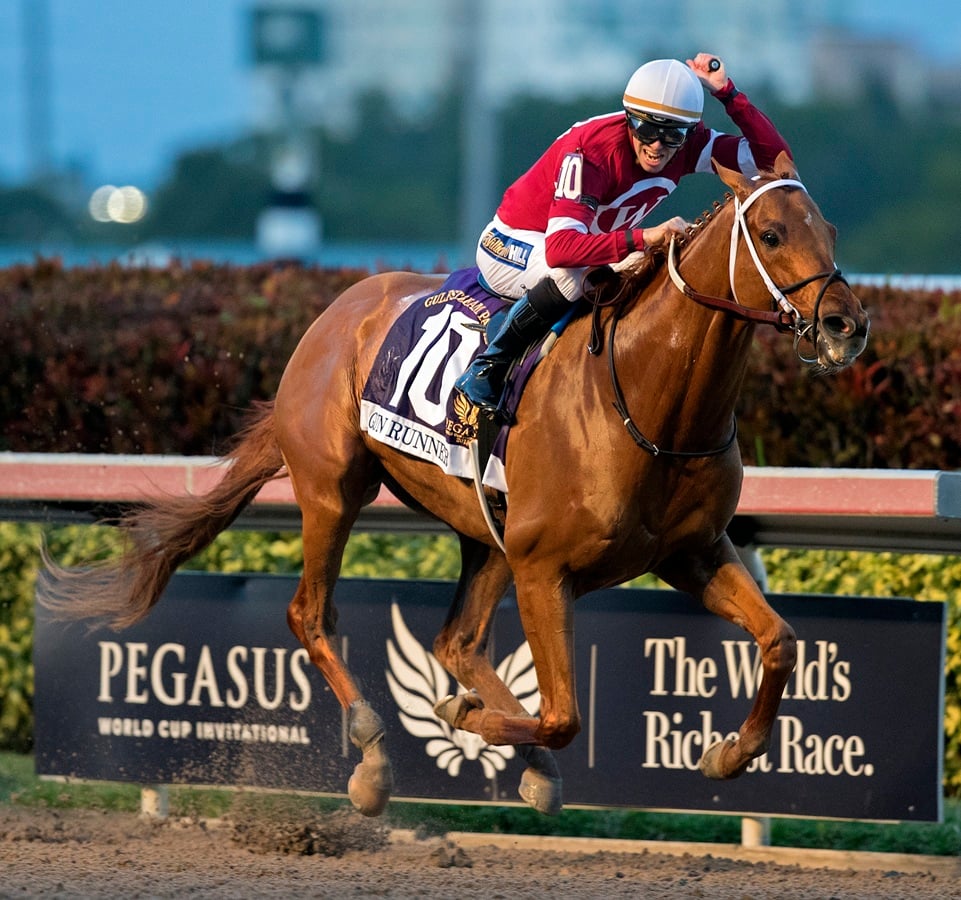 Gun Runner - Pegasus World Cup - DRF Barbara Livingston