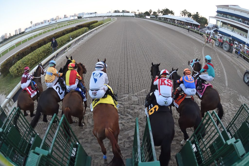 Hades - Holy Bull Stakes Start - Ryan Thompson/Coglianese Photo