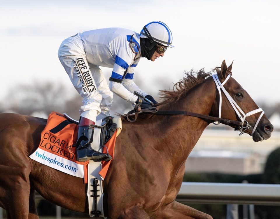 Locked - Cigar Mile G2 - DRF Barbara Livingston