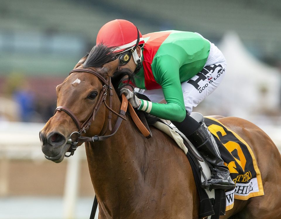 Nadette - Wilshire Stakes G3T - Benoit Photo