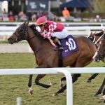 Nitrogen - Ginger Brew Stakes - Ryan Thompson/Coglianese Photo