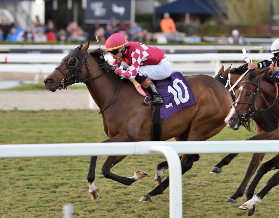 Nitrogen - Ginger Brew Stakes - Ryan Thompson/Coglianese Photo